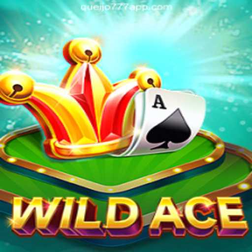 Discover the Exciting World of WildAce on QUEIJO777.COM